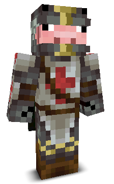 PigWarrior8's skin