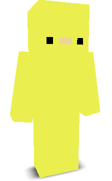 __MrDuck's skin