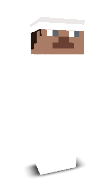 flowtivesMC's skin