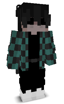 HinC's skin