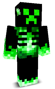 BoyGame12's skin