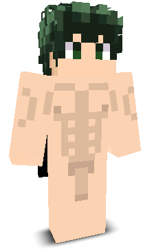 BREEYO's skin