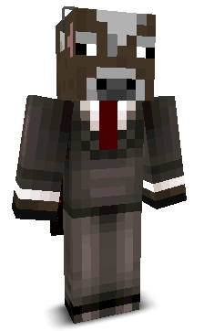 Herolink's skin