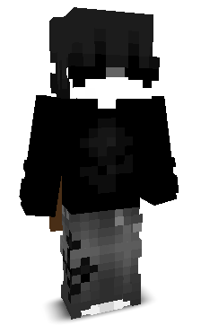 PROPRAVESH's skin