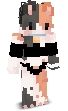 Zappzag's skin
