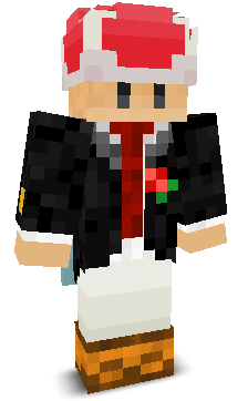 mrtoad888's skin