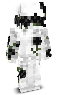 s34C's skin