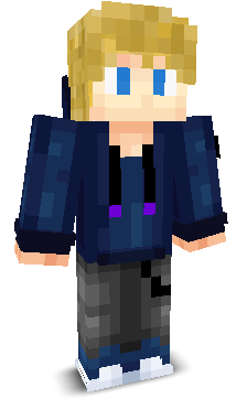 Dolphln's skin