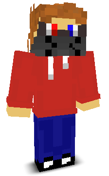 ZingGamer's skin