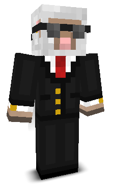 eer1k's skin
