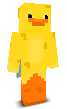 TheDuckyLord33's skin