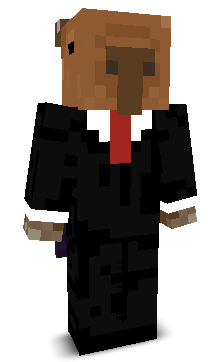 CemCizzle's skin