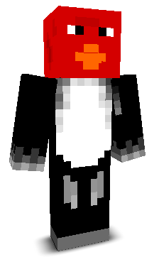 CarBagMan's skin