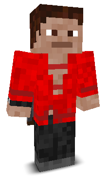 rallylau2013's skin