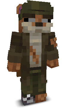 SHNIPOCK's skin