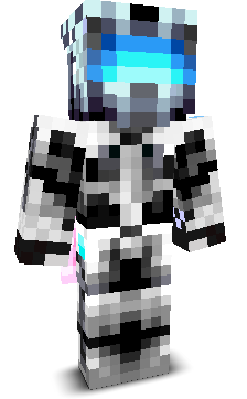 rayyanplayz's skin