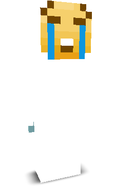 ___roblox___'s skin
