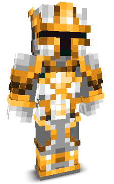 DarkNightAssasin's skin