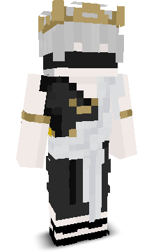 Skeelypro's skin