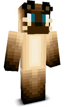Exxperiencee's skin