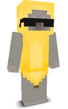 Donut1456's skin
