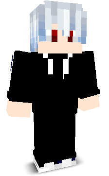 FAN_VILL's skin
