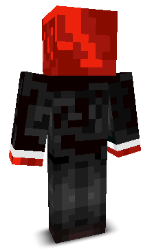 FlashVelcity's skin