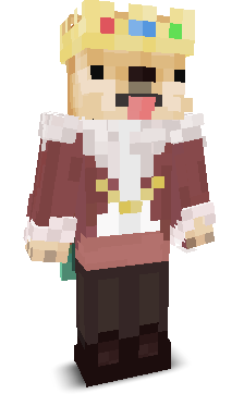 GamerShiba's skin