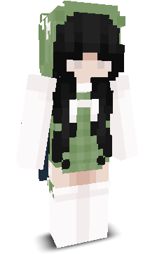 pintys's skin