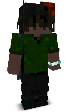 1Interr's skin
