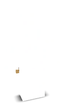 1wme's skin