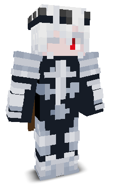 VoidKnight737's skin
