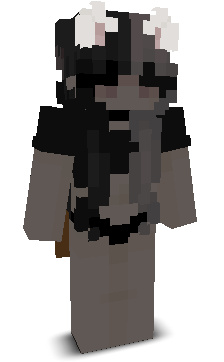 kubaa_gng's skin