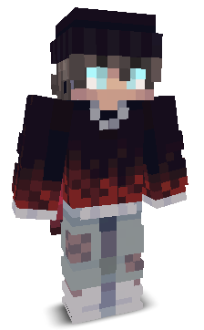 erdisko's skin