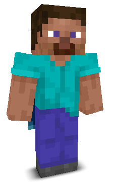 Hedgehzg's skin