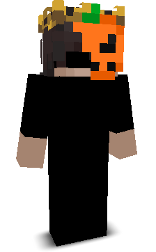 Arnav67fn's skin