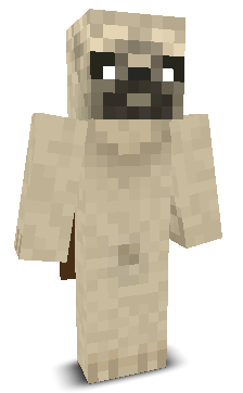 silvestr2089's skin