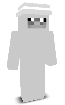 RaccoonCL's skin