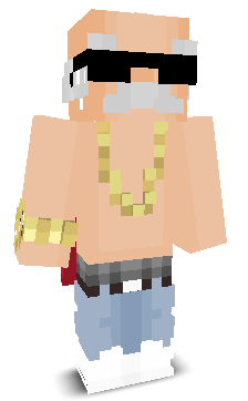 HIGH_SECURITY's skin