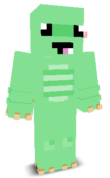 Zinnii's skin