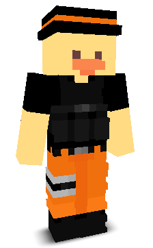 R1GHTH00K's skin