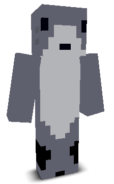 inviseal's skin