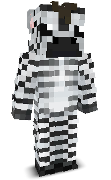 Naxfy's skin
