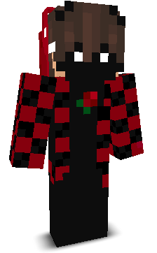 vort4xlol's skin