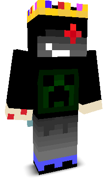 AriGacix's skin