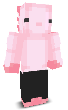 N1coXtreme's skin