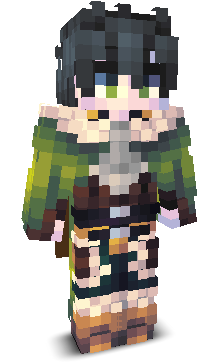 lomplm's skin
