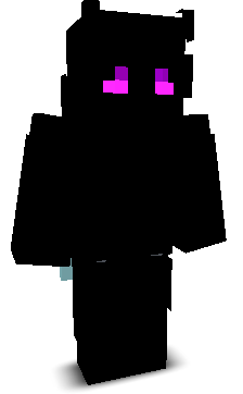 HG2013's skin