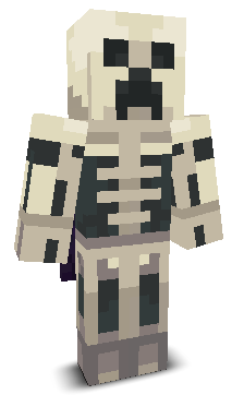 LOW_SLIDE's skin