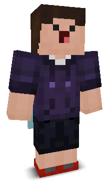 PixelKnight2024's skin